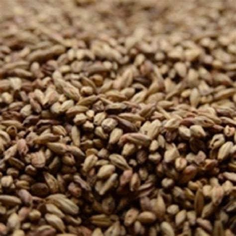 briess victory malt|victory malt substitute.